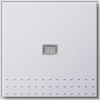 Выключатель с клавишей 2-полюсный