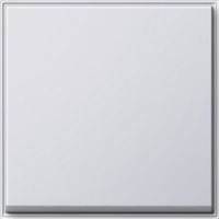 Клавиша одинарная