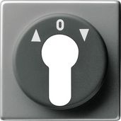 Накладка для выключателя с замковым устройством и кнопки с замковым устройством