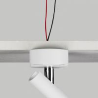 SPOTNIC CLIP + ROSAS W