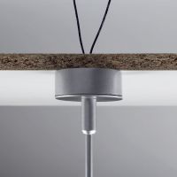 DELTA CLIP + ROSAS A