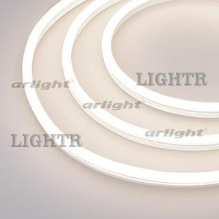 Гибкий неон GALAXY-1608-5000CFS-2835-100 12V Day (16x8mm, 12W, IP67)