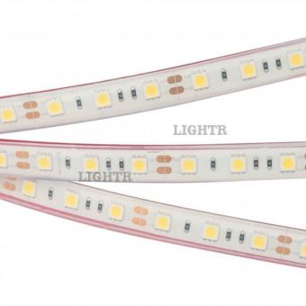 Лента RTW 2-5000PGS 12V White 2x (5060, 300 LED, LUX)