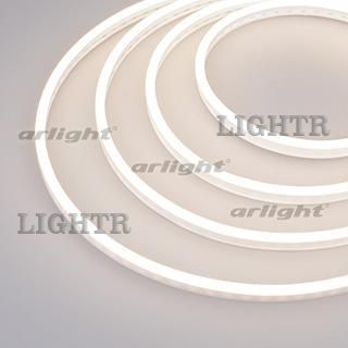 Гибкий неон GALAXY-1206-5000CFS-2835-100 12V Day (12x6mm, 12W, IP67)