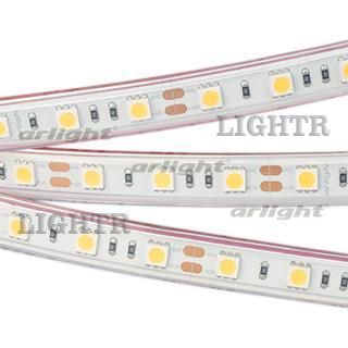 Лента RTW 2-5000P 12V Day4000 2x (5060, 300 LED, LUX)