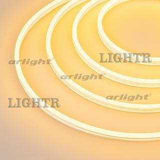 Гибкий неон GALAXY-1206-5000CFS-2835-100 12V желтый (12x6mm, 12W, IP67)