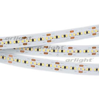 Лента MICROLED-5000HP 24V Day5000 10mm (2216, 300 LED/m, LUX)