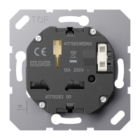 Switched socket insert, type G + I, 4171 GI SW EINS