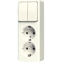 2-gang SCHUKO® socket 16 A / 250 V ~with 2-gang switch 10 AX / 250 V ~, 625 A