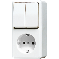 SCHUKO® socket 16 A / 250 V ~with 2-gang switch 10 AX / 250 V ~, 675 A WW