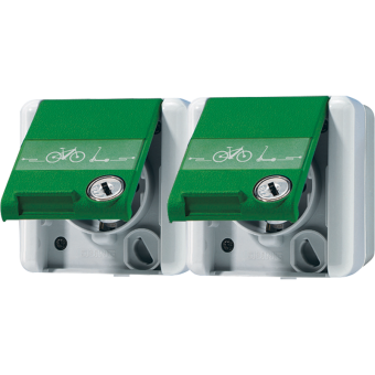 2-gang SCHUKO® socket 16 A / 250 V ~, 8220 GN NAWSLEB