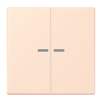 JUNG HOME кнопка, 2 группы, BT LC 17102226