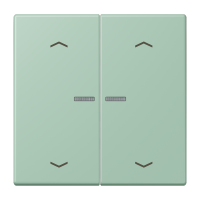 JUNG HOME кнопка, 2 группы с символами «стрелки», BT LC 17102 P217