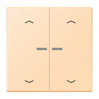 JUNG HOME кнопка, 2 группы с символами «стрелки», BT LC 17102 P223