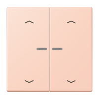 JUNG HOME кнопка, 2 группы с символами «стрелки», BT LC 17102 P234