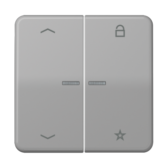 Universal centre plate "arrows", CD 1701 P GR