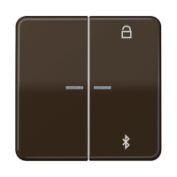 Таймер универсальный Bluetooth® , CD 1751 BT BR