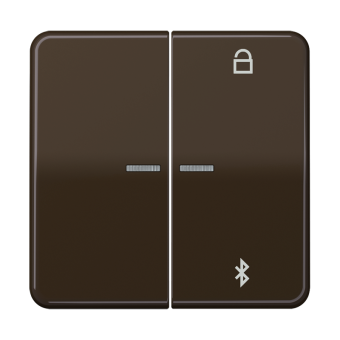 Таймер универсальный Bluetooth® , CD 1751 BT BR