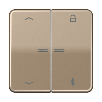 Таймер универсальный Bluetooth® «стрелки», CD 1751 PBT GB