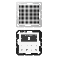 Смарт радио DAB+ Bluetooth®, моно, DAB A1 BT WW