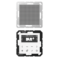 Смарт радио DAB+, моно, DAB A1 WW