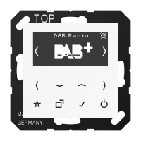 Смарт радио DAB+, DAB A WW