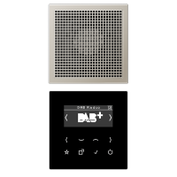 Смарт радио DAB+, моно, DAB ES1