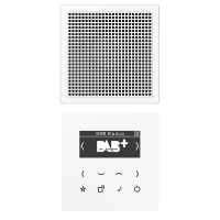 Смарт радио DAB+, моно, DAB LS1 WW