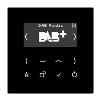 Смарт радио DAB+, DAB LS SW