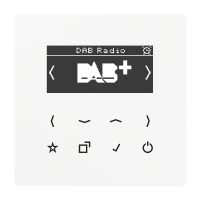 Смарт радио DAB+, DAB LS WW