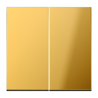 JUNG Клавиши для сдвоенного выключателя; металл цвета золота