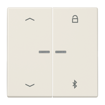 Таймер универсальный Bluetooth® «стрелки», LS 1751 PBT