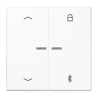 Таймер универсальный Bluetooth® «стрелки», LS 1751 PBT WW