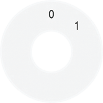Scale disc, SKS 1101-20 WW