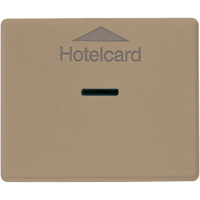 Накладка карточного выключателя (без механизма), SL 590 CARD GB