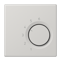 Room thermostat (2-way contact), TR LS 236 LG