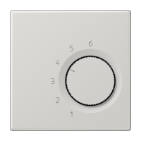 Room thermostat (2-way contact), TR LS 246 LG