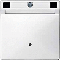 ЦЕНТР.ПЛАТА Д/КАРТОЧ. ВЫКЛ-ЛЯ, БЕЛЫЙ