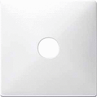 СПЕЦИАЛЬНЫЕ ЦЕНТРАЛЬНЫЕ ПЛАТЫ БЕЛЫЙ