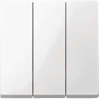 3-Х КЛАВИШ.ВЫКЛ. ЦВЕТ ПОЛ-БЕЛЫЙ