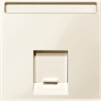 ЦЕНТР.ПЛАТА ДЛЯ РОЗЕТКИ 1 ПОСТ ЦВ.БЕЛЫЙ